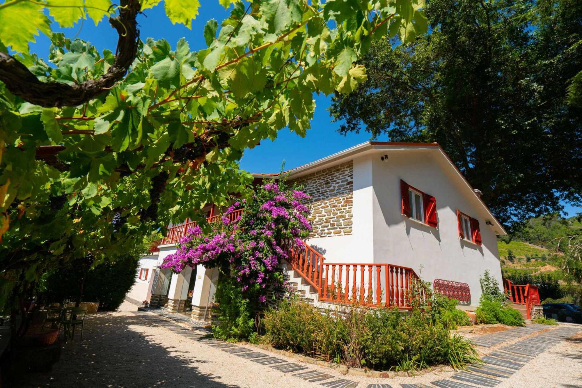 Quinta Da Pousada Casa De Campo Santa Marta de Penaguião Kültér fotó